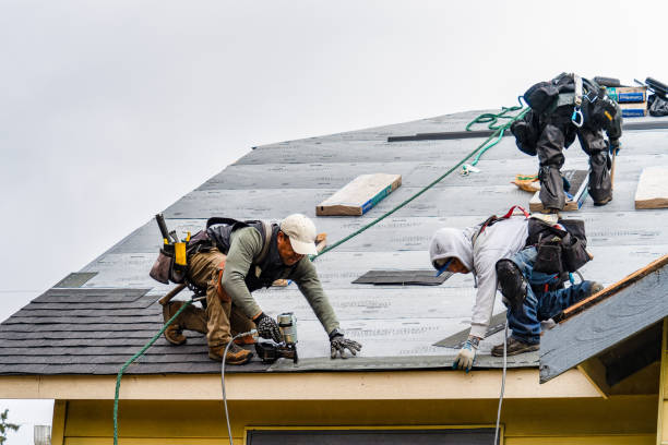 Professional Roof Inspection technician working in Fredonia, NY